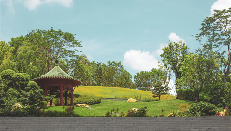  鳳鳴喜事 龍行大運 | 香港中文大學(xué)（深圳）集體婚禮全球招募啟動