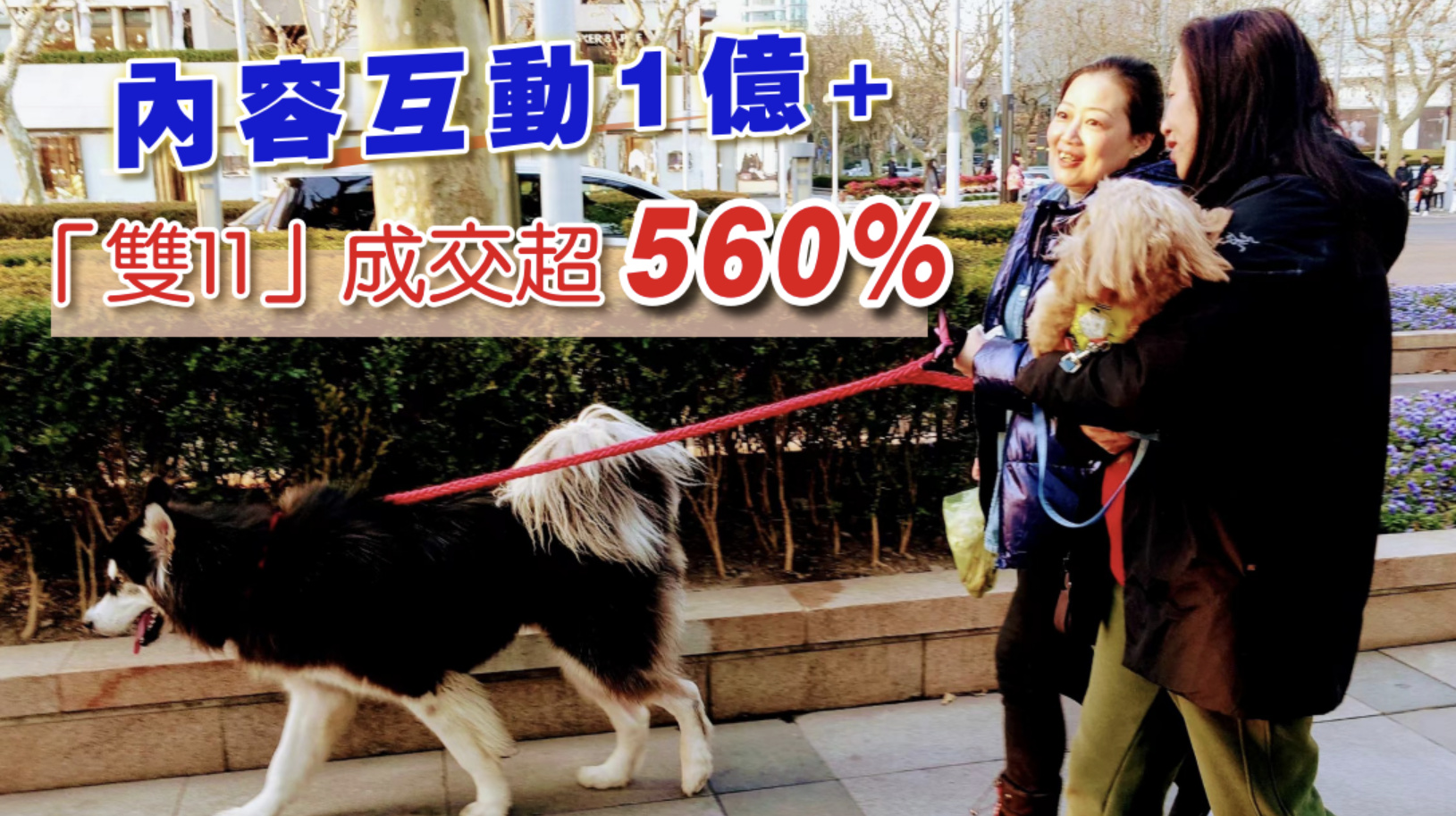 【市場(chǎng)巡禮】消費(fèi)者寄情於寵  寵物經(jīng)濟(jì)「異軍突起」？