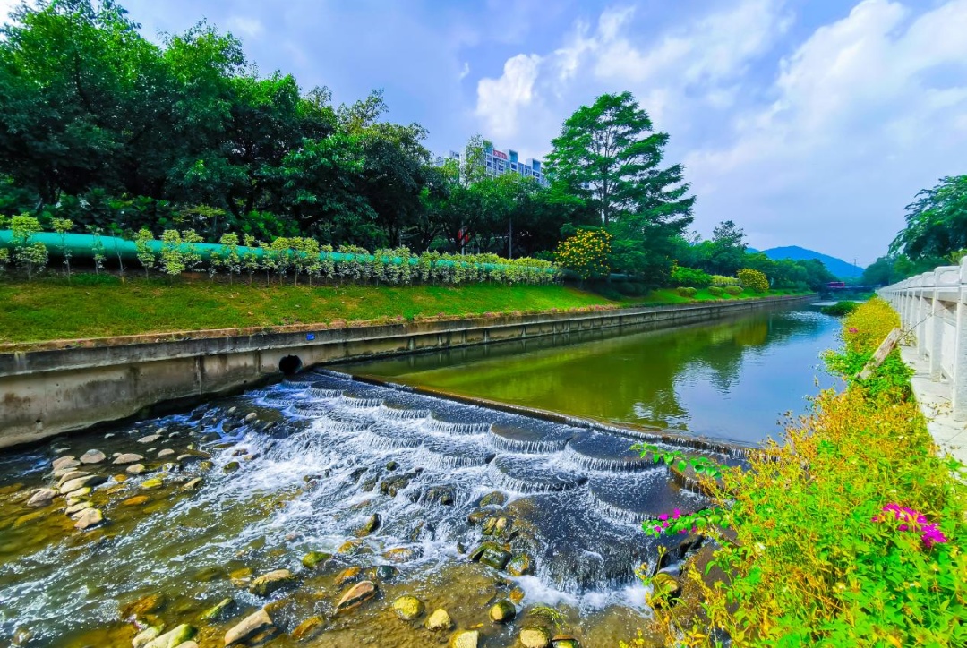 開創(chuàng)國內(nèi)多個(gè)綠色金融領(lǐng)域創(chuàng)新 廣州強(qiáng)化大灣區(qū)綠色金融合作