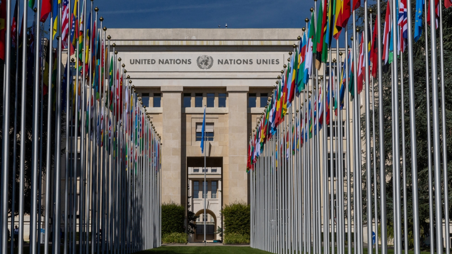 國(guó)際社會(huì)高度評(píng)價(jià)中國(guó)人權(quán)發(fā)展道路和中國(guó)人權(quán)事業(yè)歷史性成就