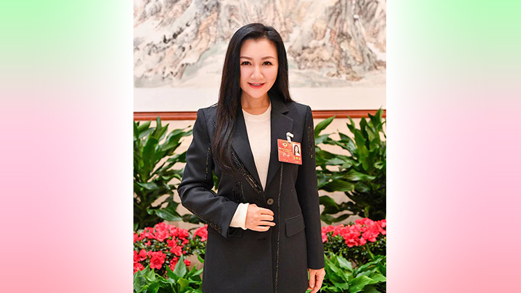 23條立法｜金鈴：團(tuán)結(jié)一致促成就23條立法 只有國安才有港安家安