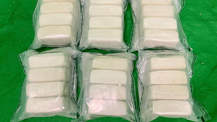 海關(guān)機場檢6公斤可卡因市值550萬 拘2女