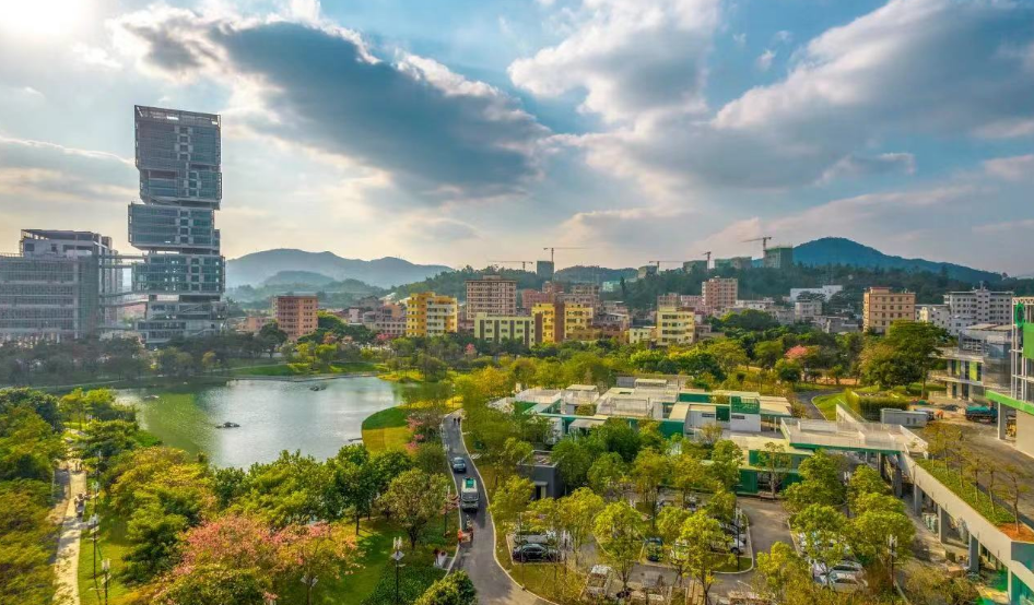 龍崗開(kāi)年大動(dòng)作！「一號(hào)工程」推進(jìn)招商穩(wěn)商優(yōu)商