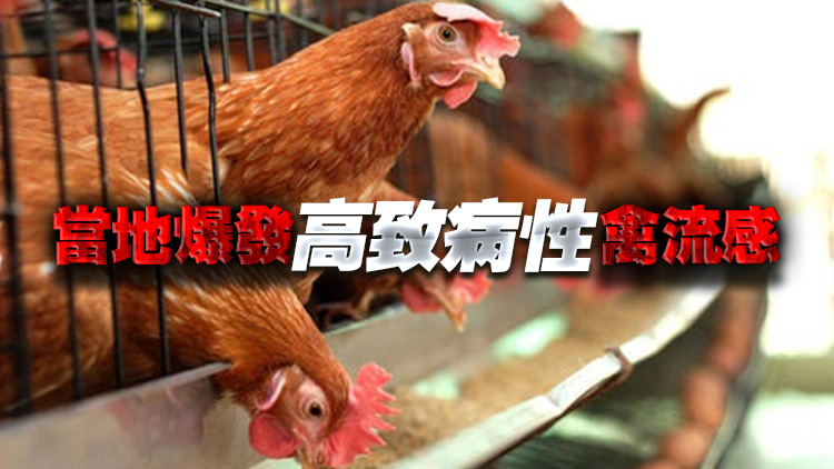 本港暫停進(jìn)口加拿大和波蘭部分地區(qū)禽肉及禽類(lèi)產(chǎn)品