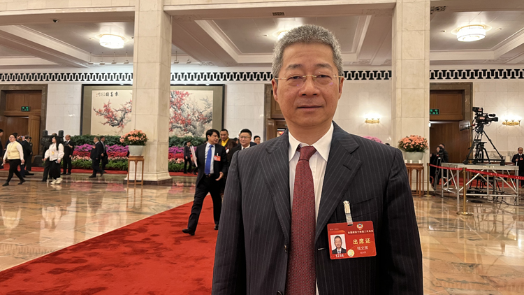 全國政協(xié)委員錢文揮：加快推動(dòng)政策性銀行立法