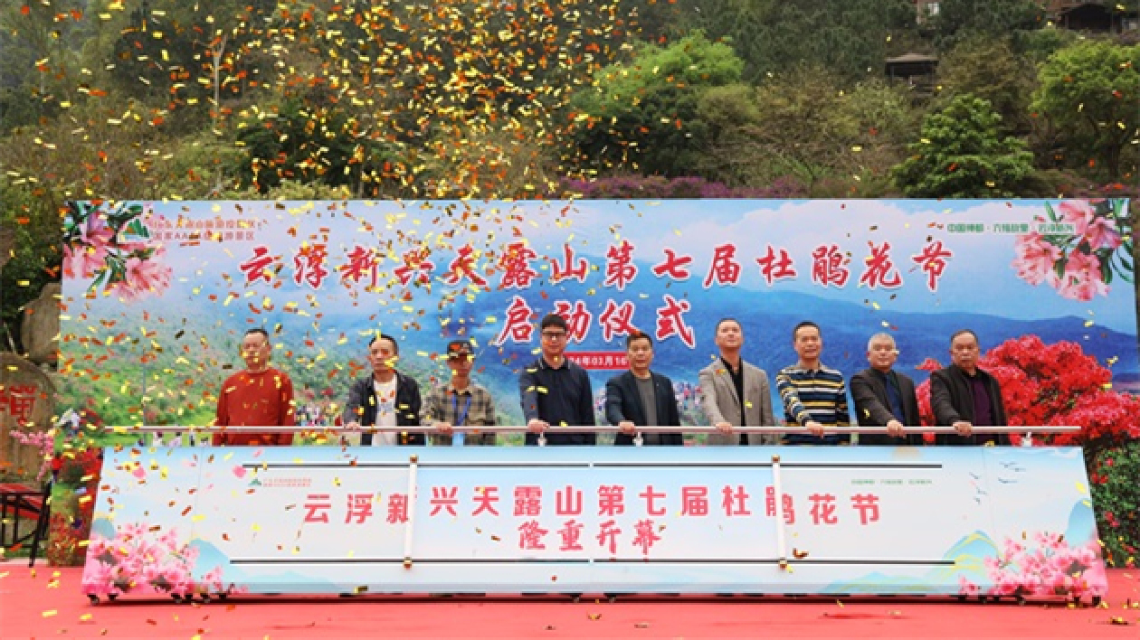 雲(yún)浮天露山近萬(wàn)畝杜鵑花次第開放