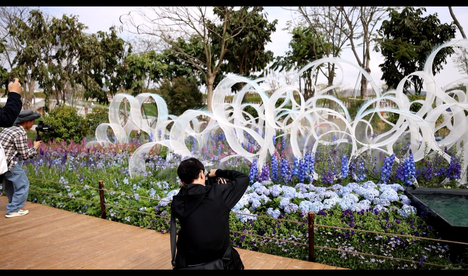 綠美灣區(qū)，詩意繁花丨2024粵港澳大灣區(qū)花展啟幕