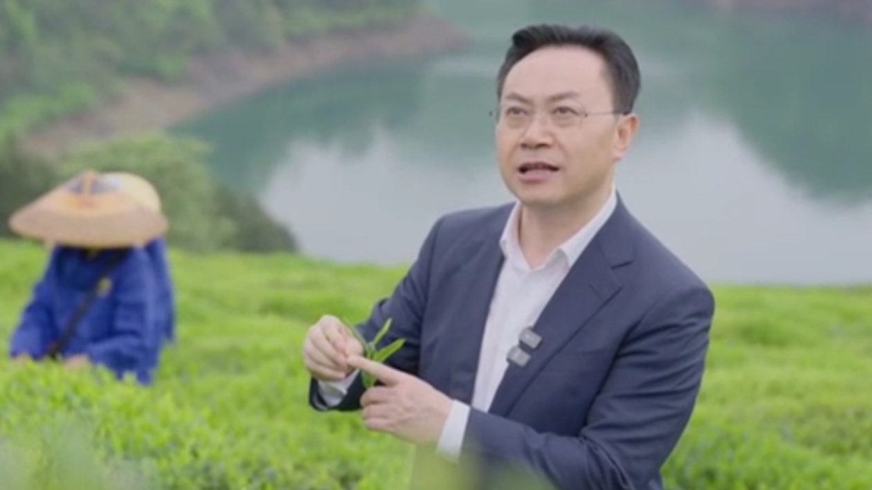 專(zhuān)家談·在希望的田野上 | 劉仲華：點(diǎn)葉成金 湘茶飄香