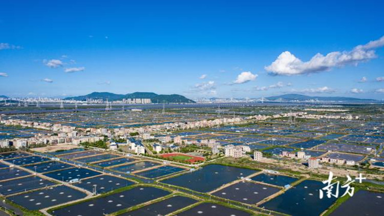 擦亮「金字招牌」 珠海再增一示範(fàn)區(qū)