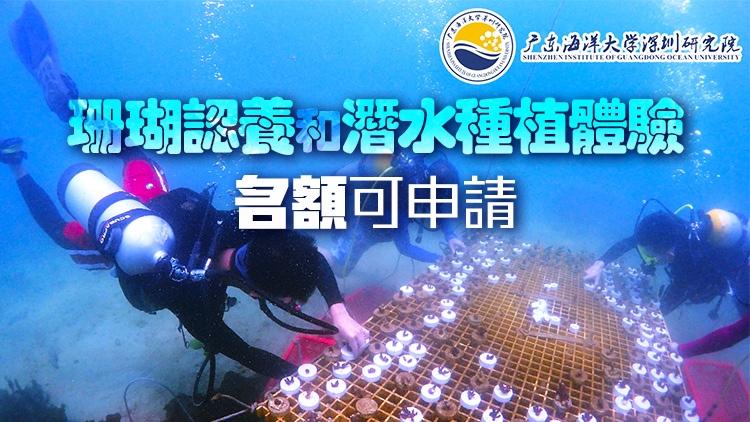 定好鬧鈴！5月14日12點(diǎn)317株珊瑚認(rèn)養(yǎng)和30個(gè)免費(fèi)潛水種植體驗(yàn)名額等你來搶！