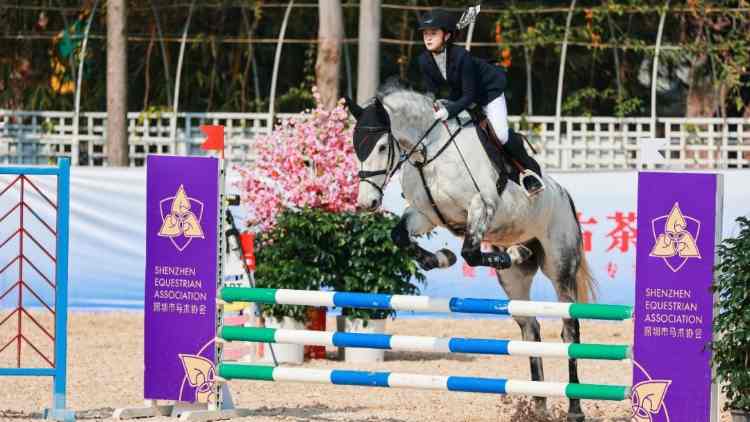 首屆深灣國際馬文化產(chǎn)業(yè)博覽交易會亮相第二十屆文博會