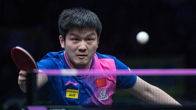 祝賀！樊振東奪得WTT重慶站男單冠軍