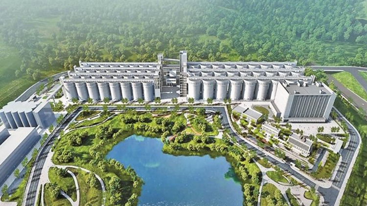 深汕糧食儲(chǔ)備庫(kù)將打造國(guó)家一流糧食儲(chǔ)備、物流、加工園區(qū)