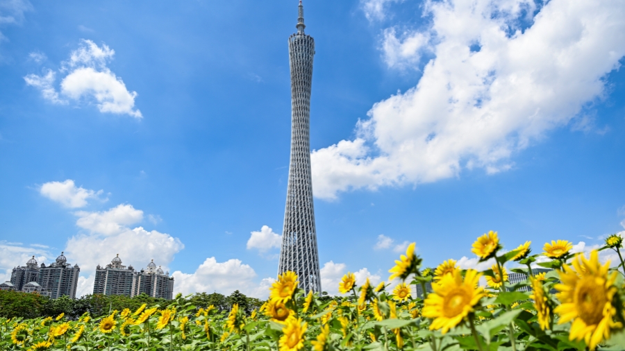 獲獎數(shù)大幅上漲 廣州26項(xiàng)科技成果榮獲2023年國家科學(xué)技術(shù)獎