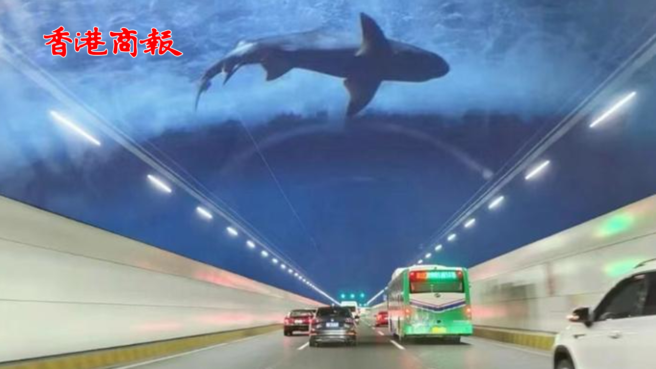 有片 | 深中通道海底隧道看不到投光燈？ 官方：已暫時關(guān)閉