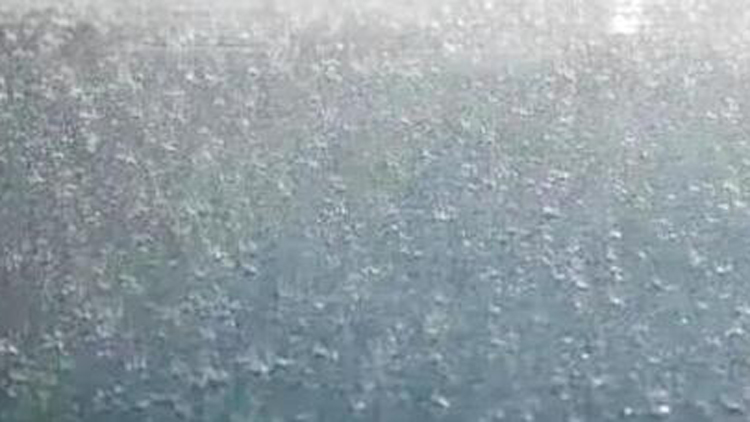 三預(yù)警齊發(fā)！廣東部分市縣有暴雨 局地伴有8級(jí)左右短時(shí)大風(fēng)