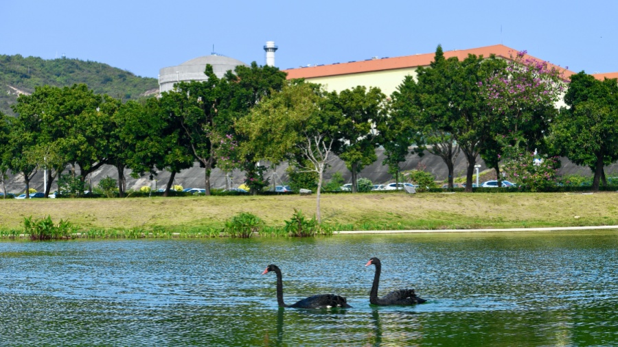 支撐粵港澳大灣區(qū)發(fā)展 中廣核大亞灣核電基地累計供電近1萬億千瓦時