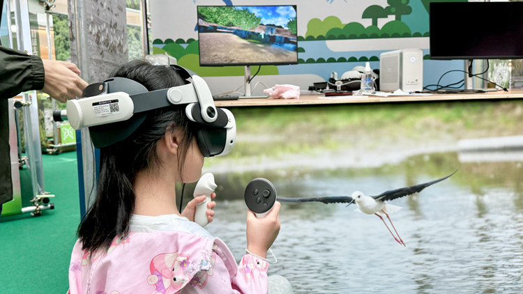 鄉(xiāng)郊辦今起舉辦「生態(tài)『悠』蹤」專題展覽 鼓勵(lì)市民探索本地生物多樣性