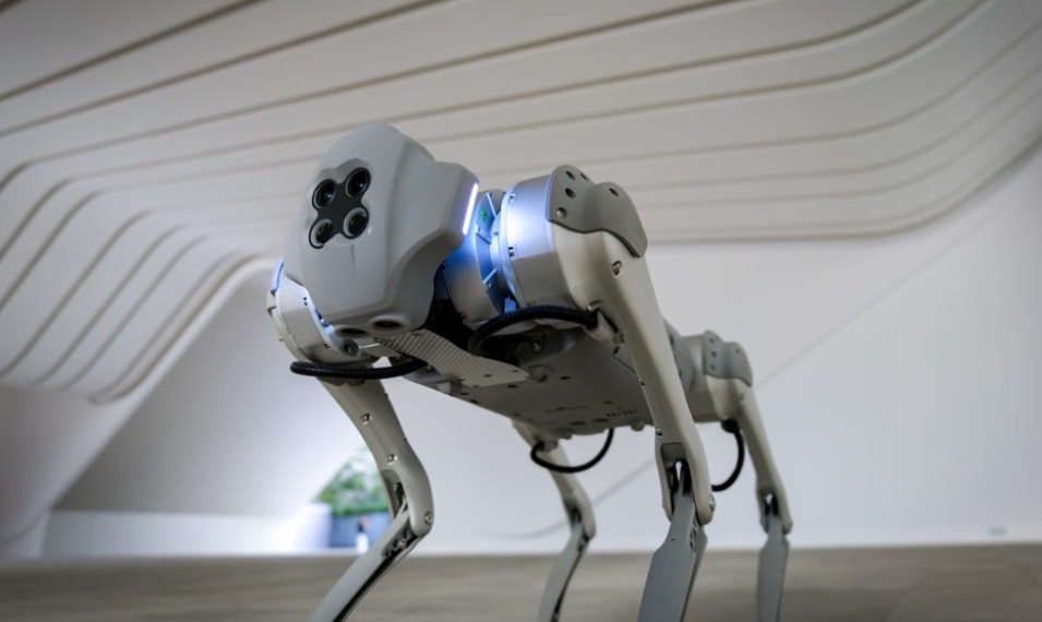 深圳機器人相關(guān)企業(yè)5.11萬家 數(shù)量居全國首位，行業(yè)總產(chǎn)值超1700億元