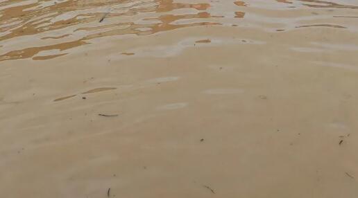 廣東省防汛防旱防風(fēng)總指揮部結(jié)束防汛應(yīng)急響應(yīng)