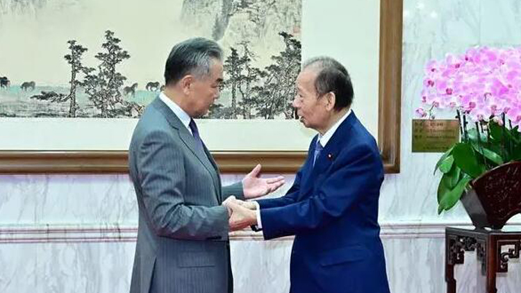 王毅會見日本日中友好議員聯(lián)盟代表團