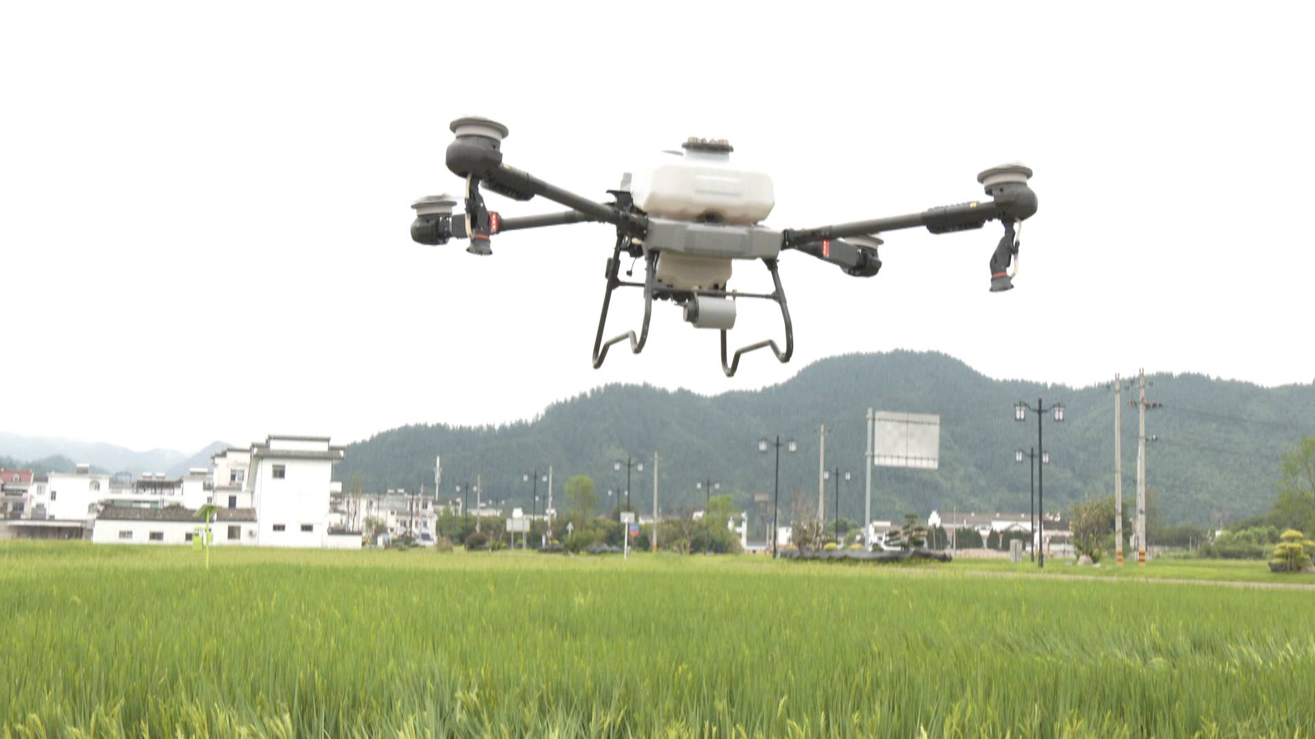 培訓(xùn)班+現(xiàn)場會  皖黟縣「一噴多促」保豐收