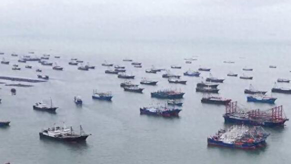 廣東五部門發(fā)布颱風(fēng)防禦提醒：海上船隻和作業(yè)人員及時(shí)回港避風(fēng)