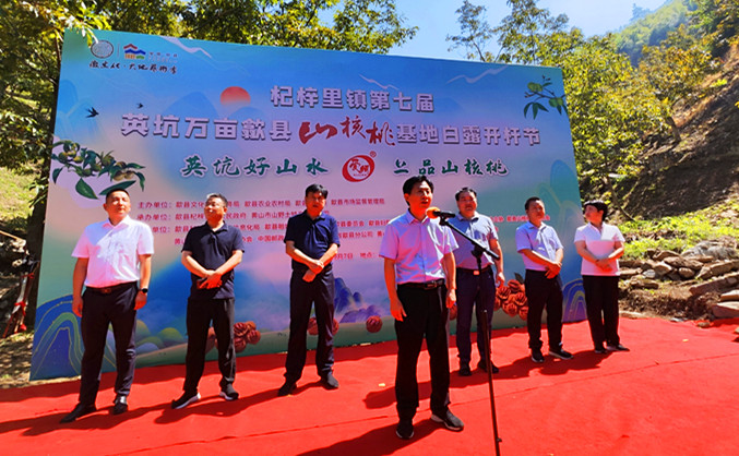 「白露到竹竿搖」 皖歙縣杞梓里鎮(zhèn)萬(wàn)畝山核桃迎來(lái)採(cǎi)收季