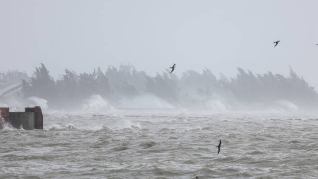 願平安！颱風(fēng)「摩羯」已致3死95傷