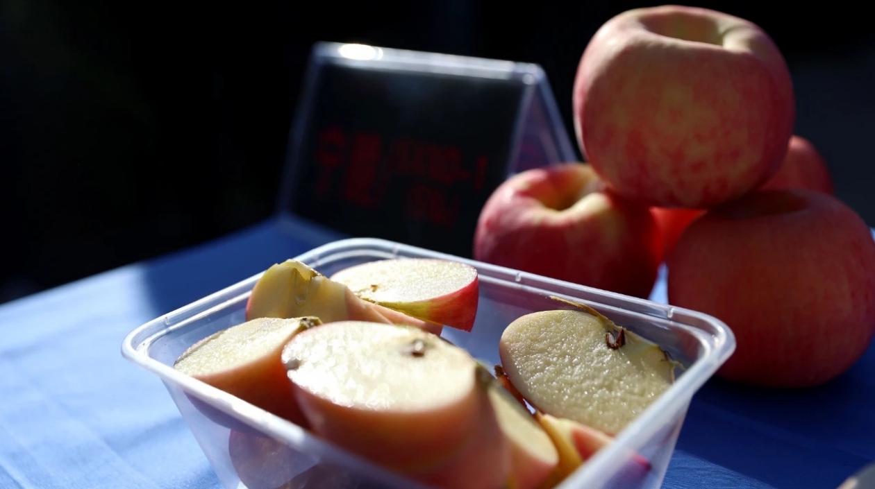 山西大寧「寧脆」蘋(píng)果：山窪窪裏的「致富果」