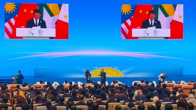 有片 | 丁薛祥宣布第21屆中國-東盟博覽會、中國-東盟商務(wù)與投資峰會開幕