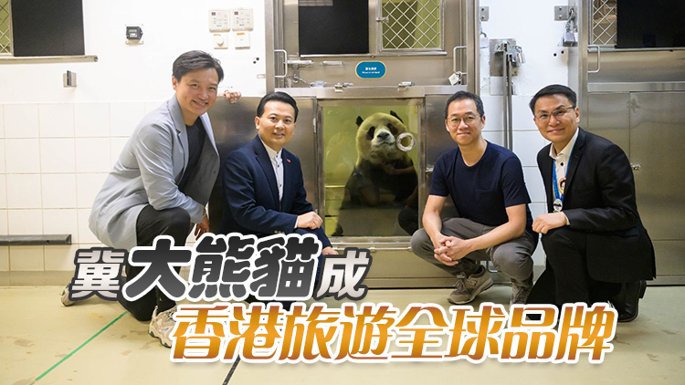 陳勇盼新一對(duì)大熊貓為香港旅遊市場(chǎng)帶來新機(jī)遇 鄭泳舜對(duì)「熊貓經(jīng)濟(jì)」前景充滿期待