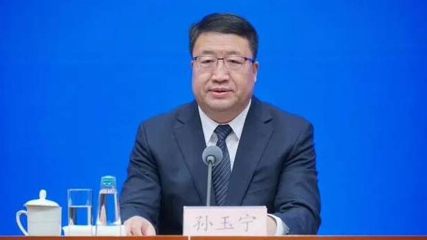 海關(guān)總署黨委委員、副署長(zhǎng)孫玉寧接受審查調(diào)查