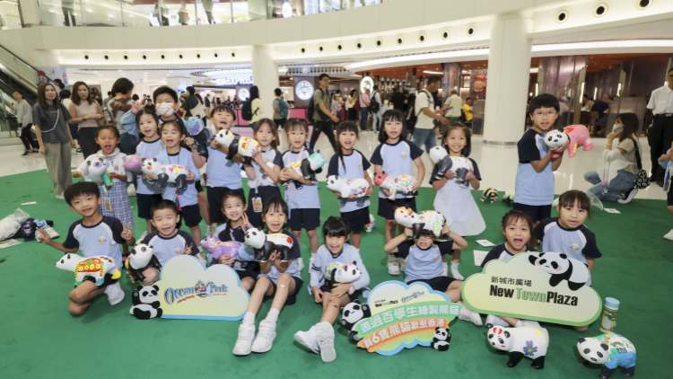 ?新地：熊貓經(jīng)濟帶動下 十一黃金周人流及生意升逾一成