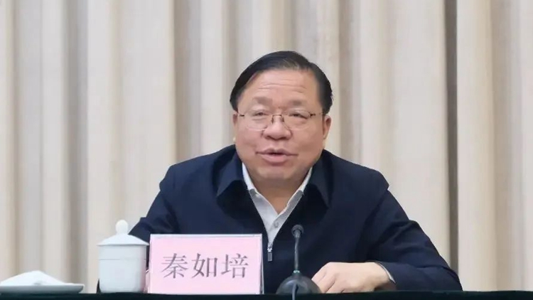 中紀(jì)委連打4「虎」！