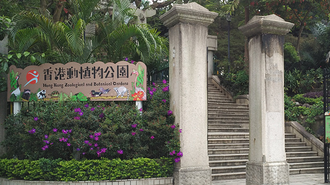 香港動(dòng)植物公園8隻猴子同日死亡 14日起暫停開(kāi)放園內(nèi)哺乳類動(dòng)物區(qū)