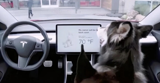 官方通報有境外企業(yè)以汽車智駕為由非法測繪！特斯拉、極氪、Mobileye、四維圖新連夜回應(yīng)