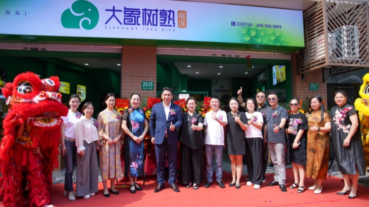 大象國(guó)際：引領(lǐng)榴槤產(chǎn)業(yè)鏈的全球先鋒