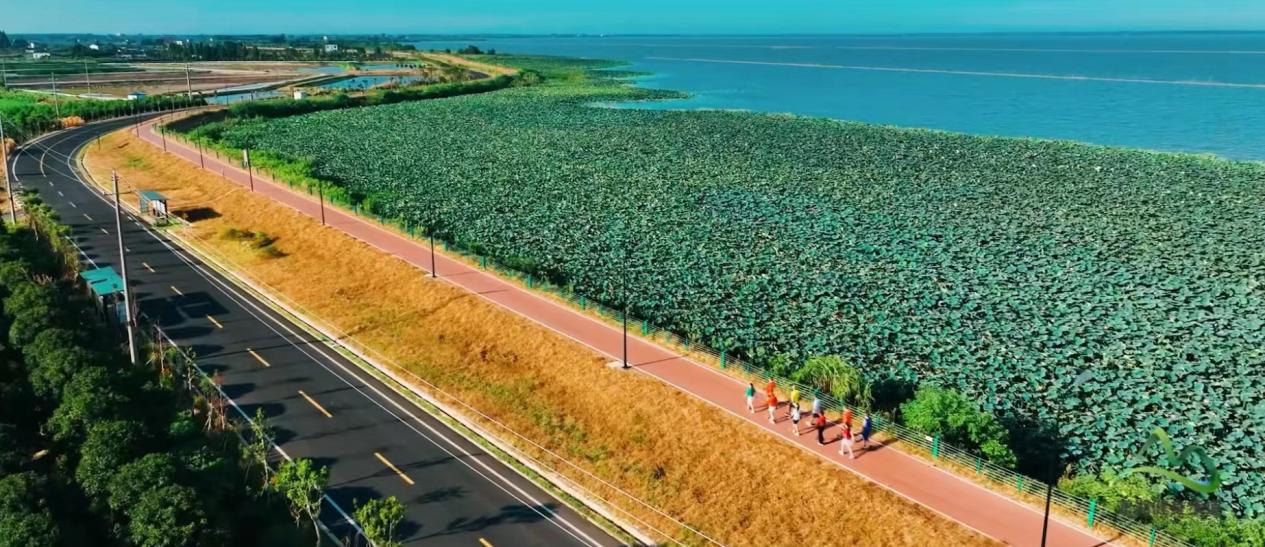 湖南：11月來大通湖跑「蟹」馬、品「蟹」宴