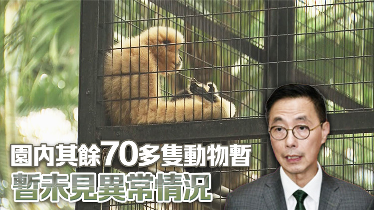 香港動植物公園累計10猴死 楊潤雄：目前預(yù)防工作足夠