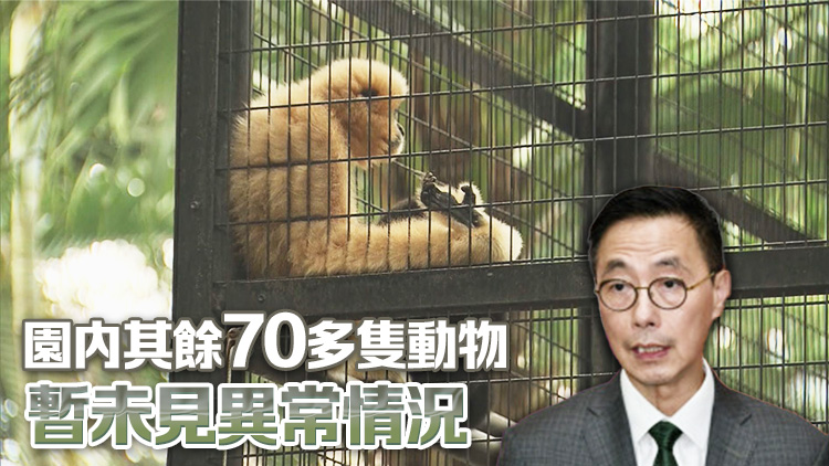 香港動植物公園累計10猴死 楊潤雄：目前預(yù)防工作足夠