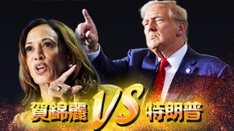 一圖看懂 | 2024年美國大選：白宮之爭，誰將勝出？