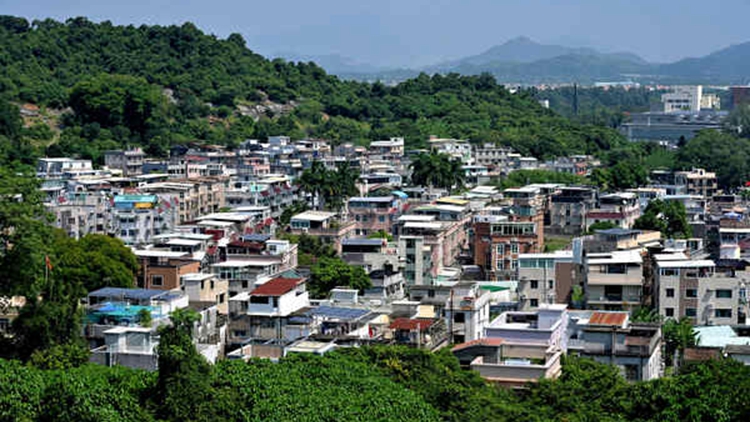 鄉(xiāng)郊補(bǔ)選5空缺投票結(jié)果出爐 28名候選人自動(dòng)當(dāng)選