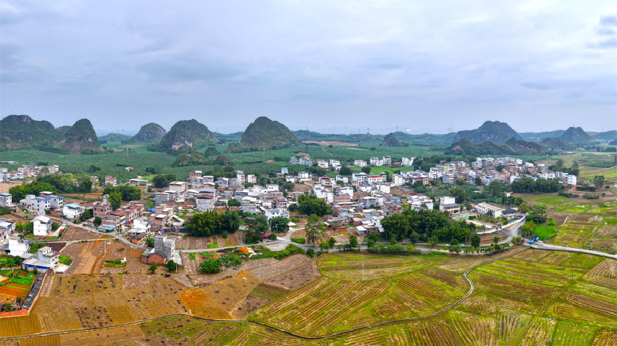 桂百色學用「千萬工程」經(jīng)驗 建設和美鄉(xiāng)村
