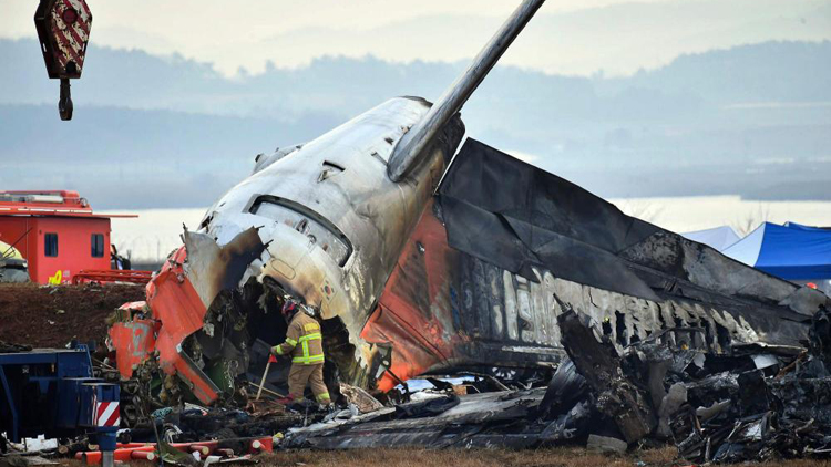 韓媒：韓國空難客機(jī)兩側(cè)發(fā)動機(jī)發(fā)現(xiàn)鳥羽
