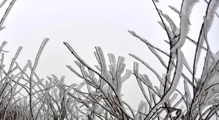 中央氣象臺(tái)發(fā)布蛇年首個(gè)寒潮預(yù)警：南方局地降溫可超10℃