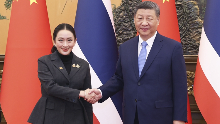 中泰聯(lián)合聲明發(fā)布 加強打擊人口販運電信網(wǎng)絡(luò)詐騙等跨境犯罪