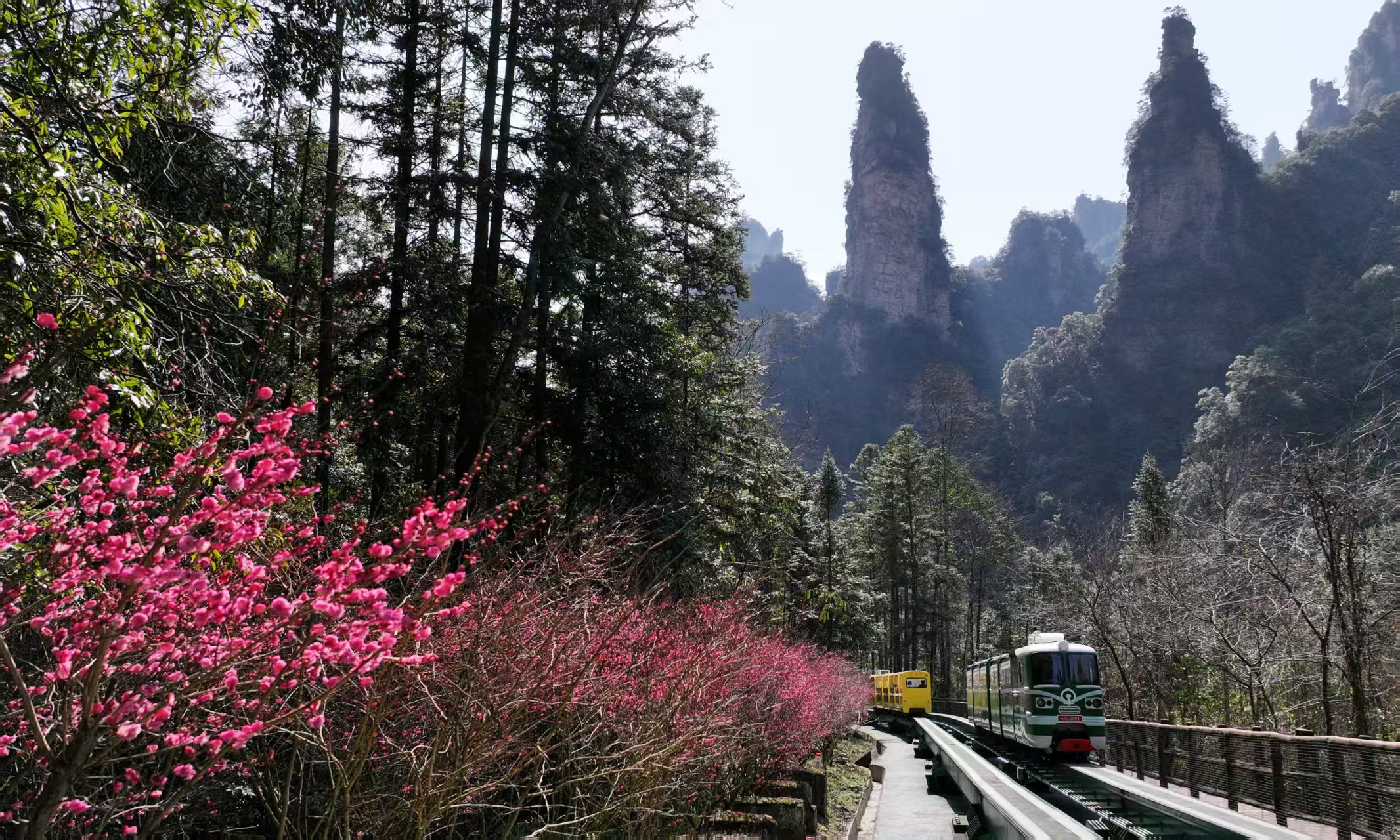 跟著哪吒遊張家界國(guó)家森林公園「阿凡達(dá)」仙境有「福利」