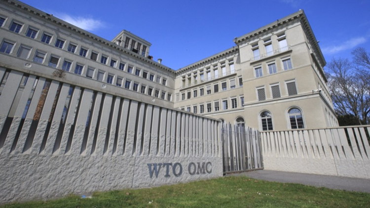 中方代表：美國單邊關(guān)稅政策給全球帶來衝擊