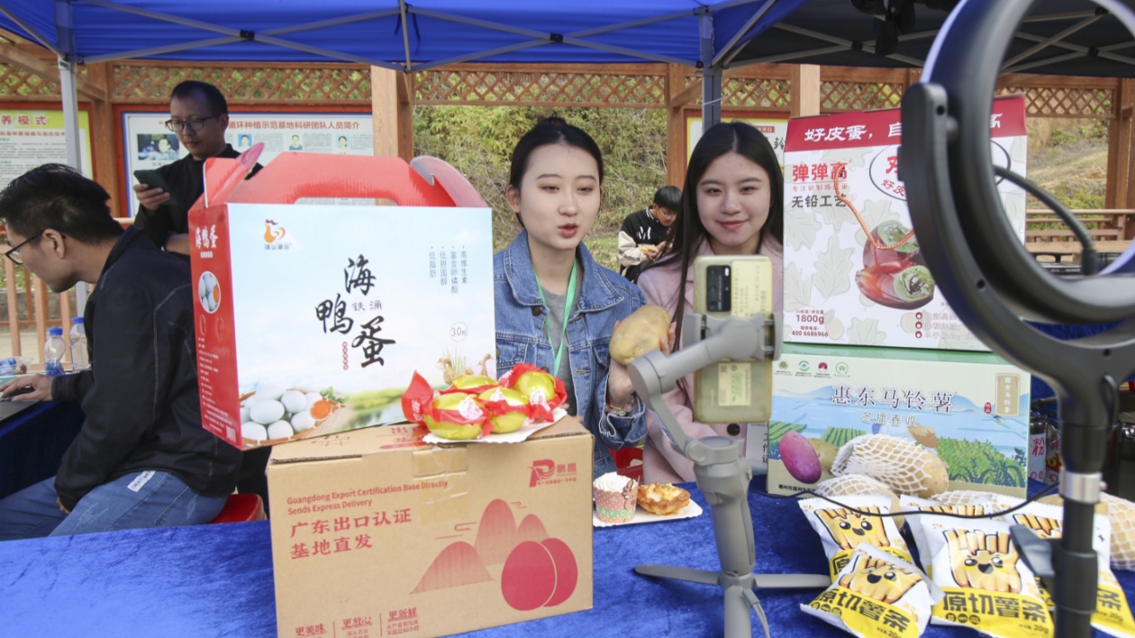 惠東舉辦2025年惠東縣馬鈴薯文化節(jié)